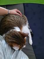 https://images.plurk.com/10CGwWW5jMkBybfdFjy3Vh.jpg
