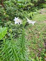 https://images.plurk.com/10Gp8lLcChKFIWnrdHIw2C.jpg