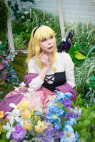 https://images.plurk.com/10KTe8v6eA16GQeXHmOEiF.jpg