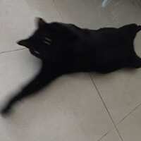 https://images.plurk.com/10KsrpDwTJO8nswqKAbtCW.jpg
