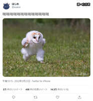 https://images.plurk.com/10OPB7nVzi975zB0pHAsZT.jpg