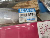 https://images.plurk.com/10Q81ZUNSQKHTIJqsICMaO.jpg