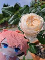 https://images.plurk.com/10RyQnWVSv4HnIQSrfDCTb.jpg