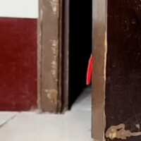 https://images.plurk.com/10UGs9ayI3RvGdPqeVpW4T.gif