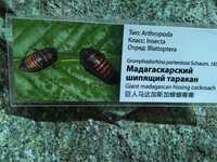 https://images.plurk.com/10UZM8Zjcx7TCdTSAAsAUv.jpg