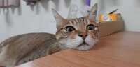 https://images.plurk.com/10baAZMQt1pE5VWu9FUQhO.jpg