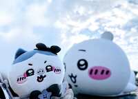 https://images.plurk.com/10kaqBfQa5d6FdPe1TK68E.jpg