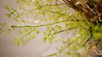 https://images.plurk.com/10omrTiCXBLjpfXDOJLfcO.jpg
