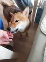 https://images.plurk.com/10sRGmpQMJ5H9V6ksJhdA9.jpg