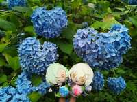 https://images.plurk.com/10uNLWIx3fb0B1loW41ltM.jpg