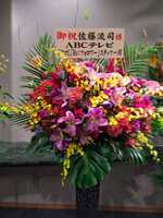 https://images.plurk.com/110VEjEQTzbrTCZJSwow0b.jpg