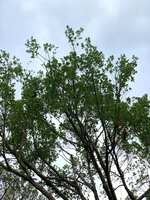 https://images.plurk.com/11EDU62Tp05XbhzOHZl4ka.jpg