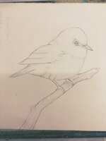 https://images.plurk.com/11HOQxrGwxa7wK2yzs7c6y.jpg