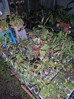 https://images.plurk.com/11NLb0oAvpL8fGMUzMrHMV.jpg