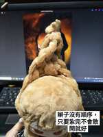 https://images.plurk.com/11Uiyu2S8BqXHTv9IlUeXi.jpg