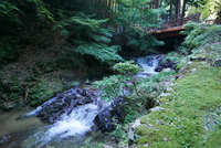 https://images.plurk.com/11WM50B76IXfOrLMR0qlIF.jpg