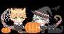 https://images.plurk.com/11ZP70rtygUJWtoX3XxDuw.gif