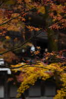 https://images.plurk.com/11enmYuyPpKCmQFIijLtdn.jpg