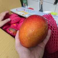 https://images.plurk.com/11ga7CDIMMKilz8gVREKf7.jpg