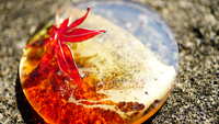 https://images.plurk.com/11ssbDC1oHCA0EA2CNkJfN.jpg