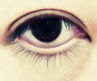 https://images.plurk.com/11waUkRfv2F7TrwX6YOLOU.jpg