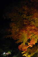 https://images.plurk.com/11wk0l9OZSfTfviE2SeYK7.jpg