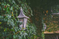 https://images.plurk.com/125c6ol5quOvnpVQWMeQn5.jpg