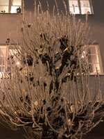 https://images.plurk.com/126f5ktRItD9zUCdZFJKWc.jpg