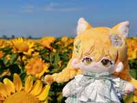 https://images.plurk.com/12An0EB366aijVZh1BK8kg.jpg