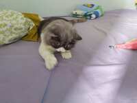 https://images.plurk.com/12BXfUyEt6PAorpaFrjDNS.jpg