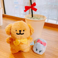 https://images.plurk.com/12BwHXpdVacLSHxl0gPuMI.jpg