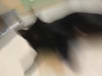 https://images.plurk.com/12Nl7dTpF2kKPhd2ThwJKA.jpg