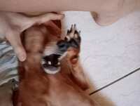 https://images.plurk.com/12R3q3qubPrQFWfPnviPCY.jpg
