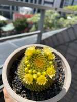 https://images.plurk.com/12X642qQKEmFpIvKdfJmSV.jpg