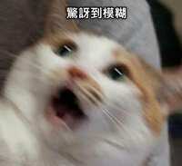 https://images.plurk.com/12YuGDTeyy30fHRlZM7XG1.jpg