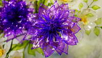 https://images.plurk.com/12xBVCWQOI89pbnxi68uLY.jpg