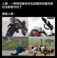 https://images.plurk.com/12y9qHBt7HS6BydaaNDuhp.jpg