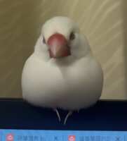 https://images.plurk.com/132UVywg0dt9j2qiOXZBJo.png