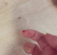 https://images.plurk.com/13NZy8h0zAWvzyUj0cGkRm.jpg