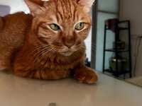 https://images.plurk.com/13TItIXk3FvP7vbY8bIkRY.jpg