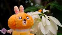 https://images.plurk.com/13Ttzq1ytEyHVXoQvqZyzc.jpg