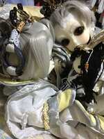 https://images.plurk.com/13VvJIaHCw7LPn55fRDsoc.jpg
