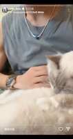 https://images.plurk.com/13WEALeMpK5J4TlGGIAzOl.jpg