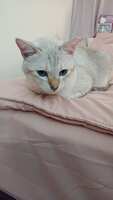 https://images.plurk.com/13ZmDeFZBSNWlNUImm3Ek1.jpg