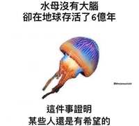 https://images.plurk.com/13aKTqewooPtPs5Ybbv0Vt.jpg