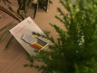 https://images.plurk.com/13foiYCR6GzUK4ZqduJrBn.png