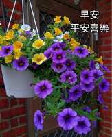 https://images.plurk.com/13fxBPoIiDoOprObnxpKmr.jpg