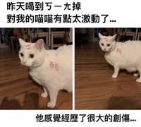https://images.plurk.com/13ocGagTViNbRBvz7F124I.jpg