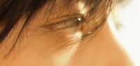 https://images.plurk.com/13pu8IAJJoKHJ5mBLmfdjp.jpg