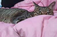 https://images.plurk.com/13u2NHYbd0i3jvc35JSRwA.png